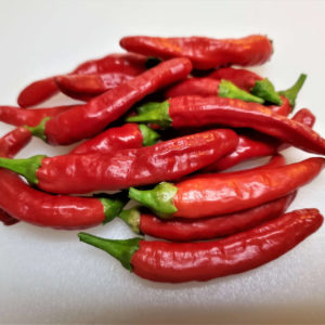 Onza Rojo Pepper Plant